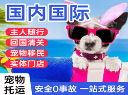 阜阳机场货运国际宠物托运 【国